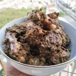 Sambal Andaliman Buatan Mamak